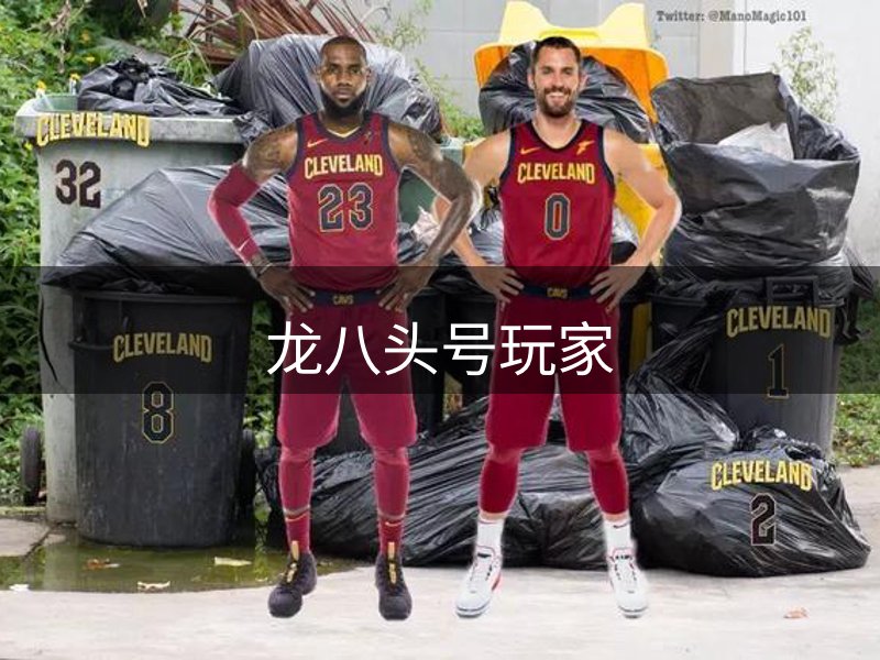 网站概况
