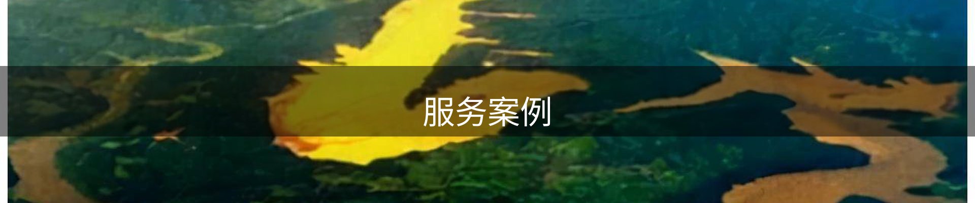 服务案例