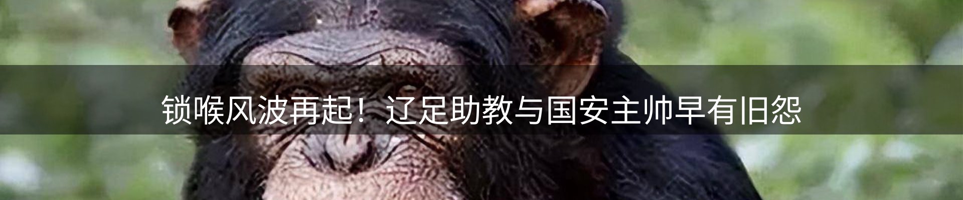 行业快讯
